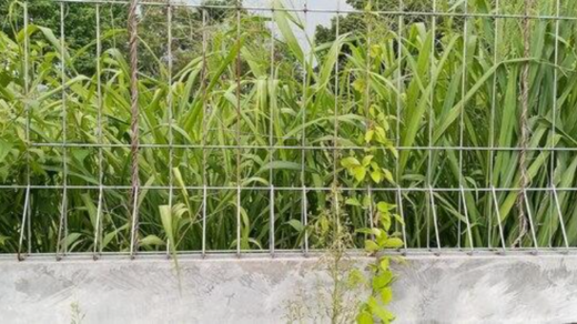 agricultural fencing